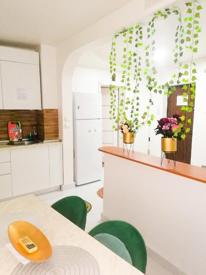 Apartament Near The Park Two Rooms Bucharest Luaran gambar