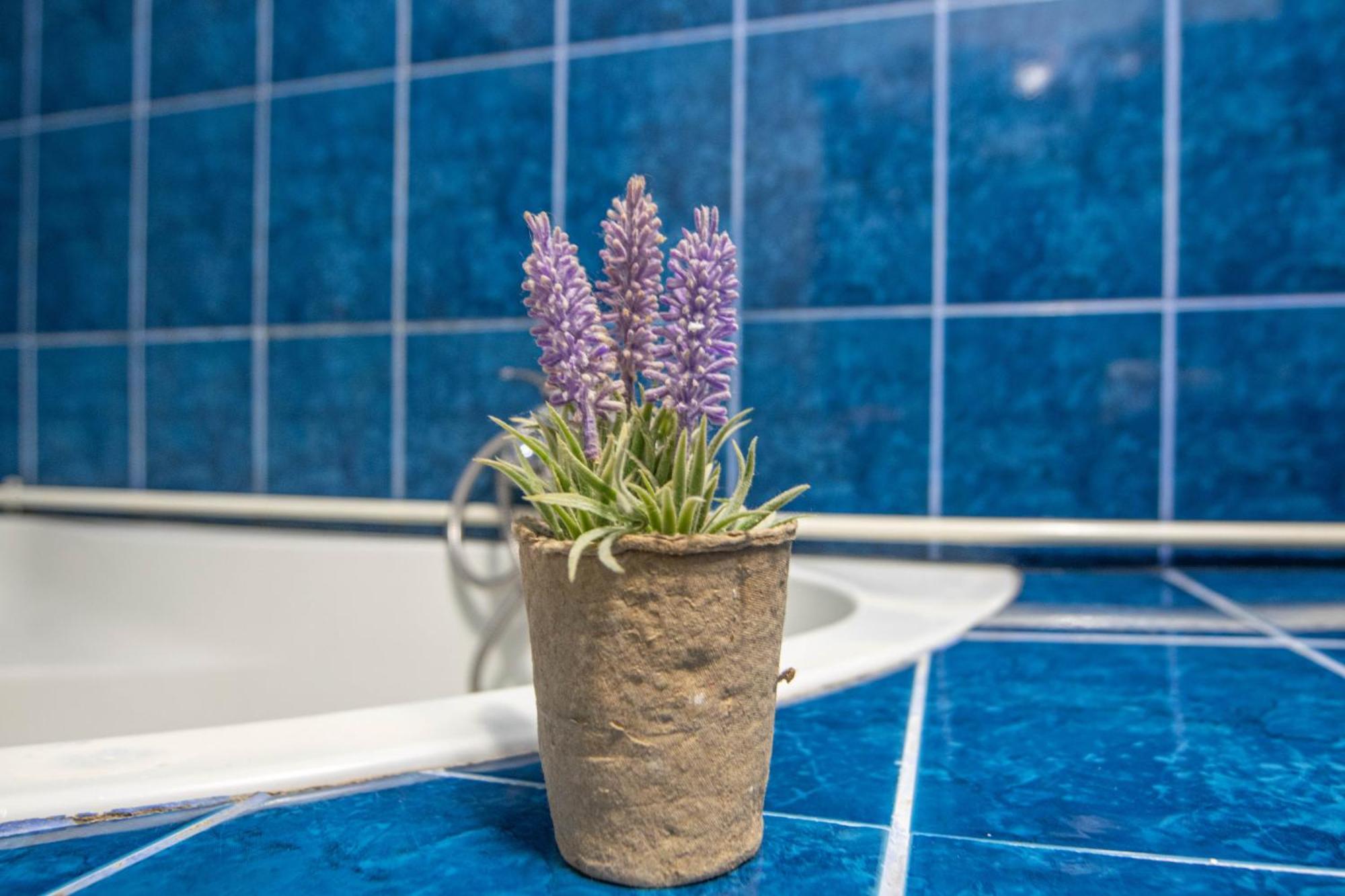Apartament Near The Park Two Rooms Bucharest Luaran gambar